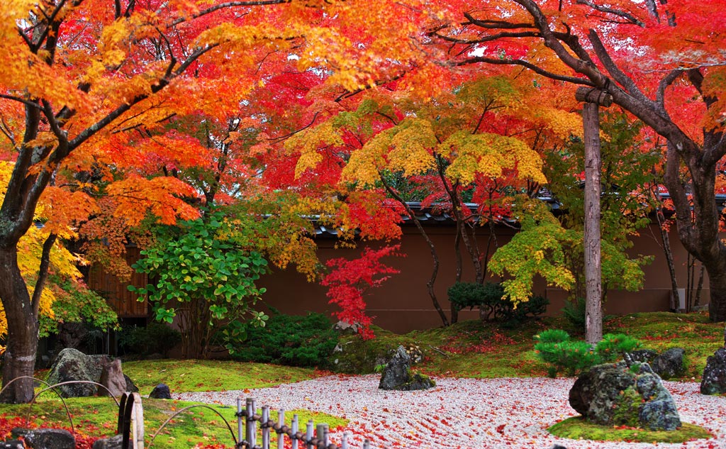 紅葉が美しい秋景色の庭園