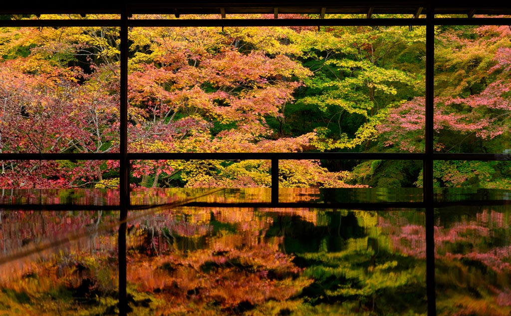 晩秋の瑠璃光院(京都)