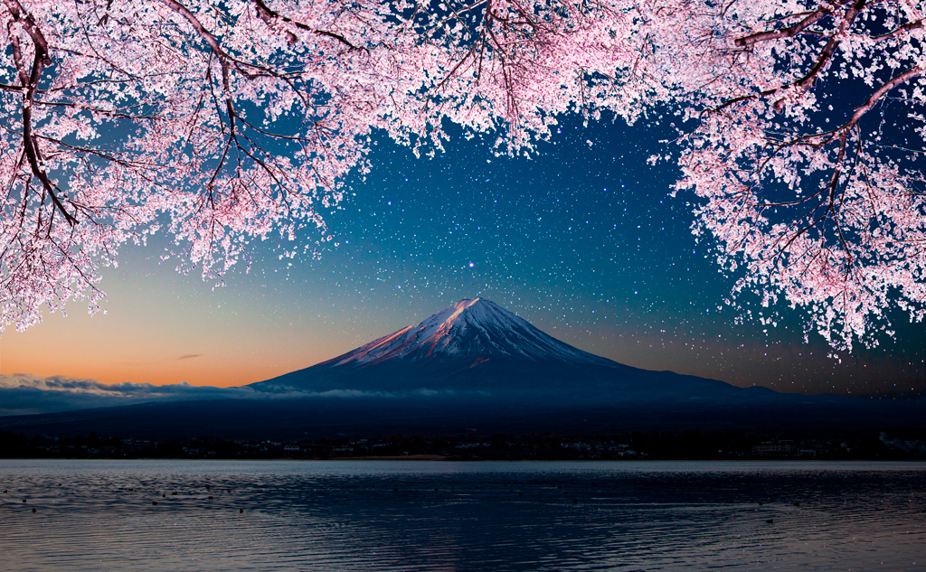 富士山と桜