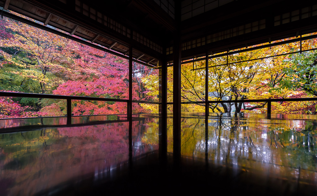紅葉の瑠璃光院