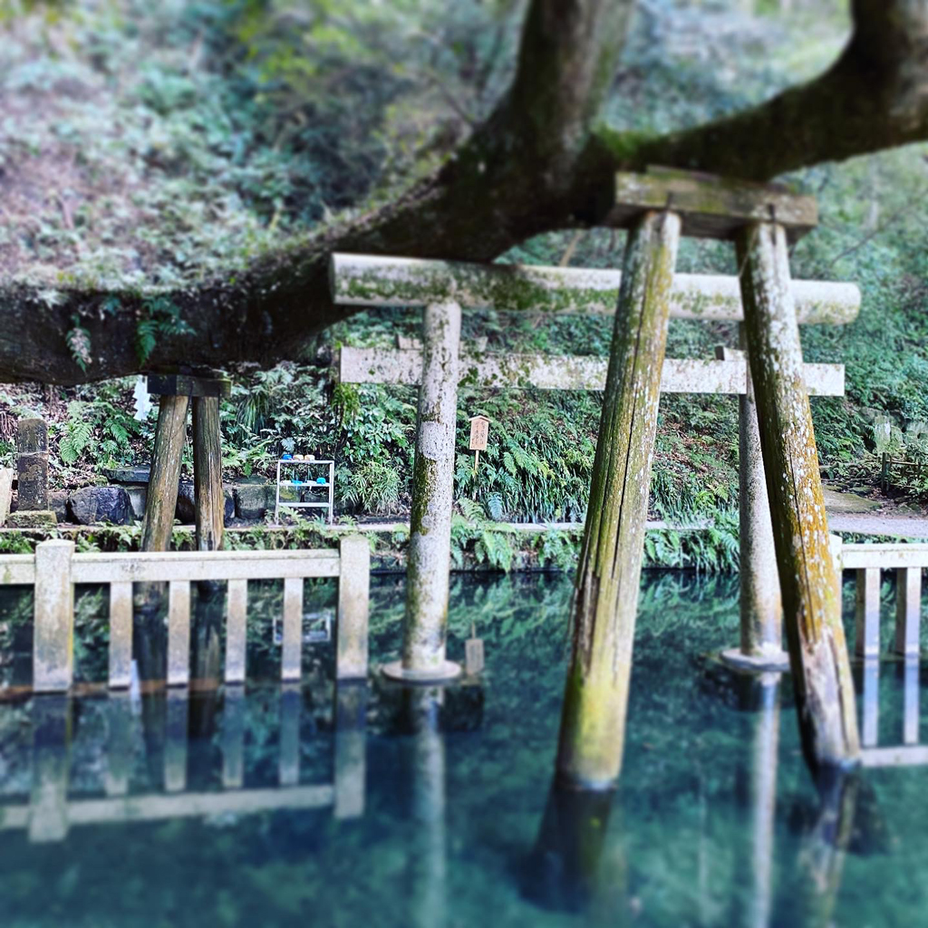 水底が一面見渡せるほど澄みわたった池/栃木県