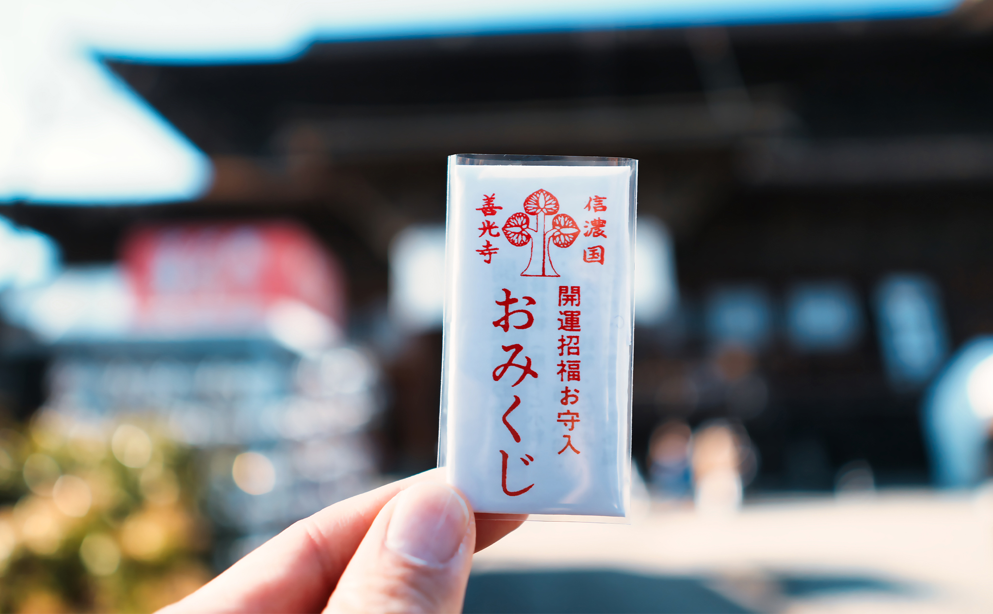 神様のおみくじ
