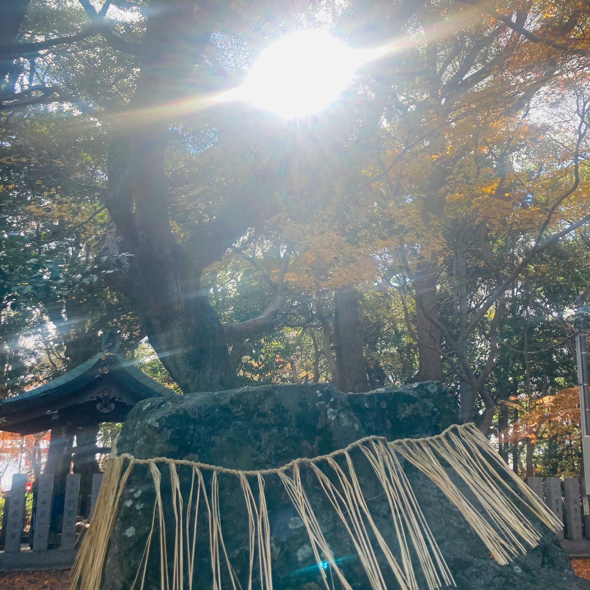 保久良神社の磐座（立岩）